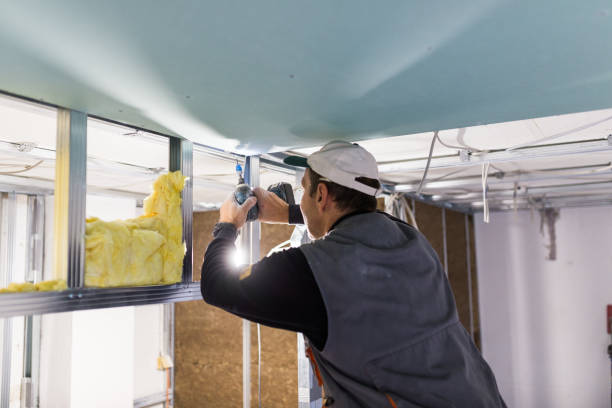 Best Specialized Insulation Services in Euharlee, GA