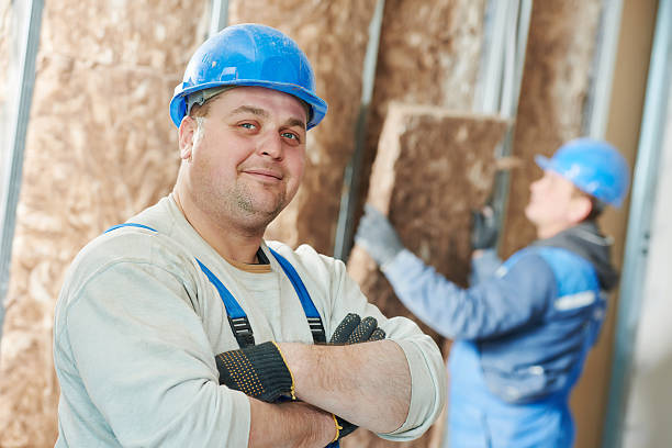 Best Insulation Maintenance and Repair in Euharlee, GA