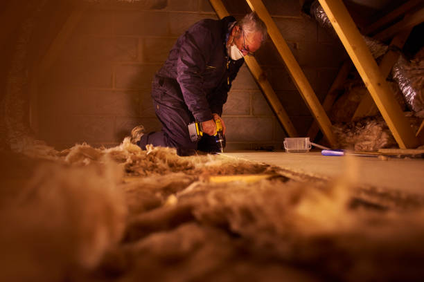 Professional Insulation Contractor in Euharlee, GA